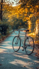 Fototapeta premium Bicycling on a tranquil autumn road surrounded by orange foliage and fallen leaves
