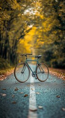 Fototapeta premium Bicycling on a tranquil autumn road surrounded by orange foliage and fallen leaves