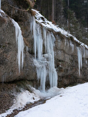 Eiszapfen im Winter am Bach