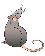 Rat. Rat is the symbol of the Chinese horoscope. Rat sits rear view. Mouse - rodent pet color vector picture.	
