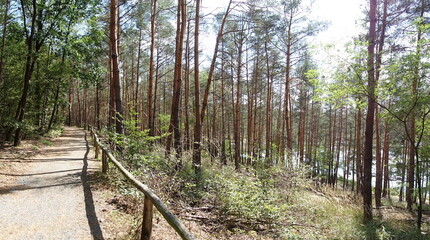 Weg am Gehspitzweiher