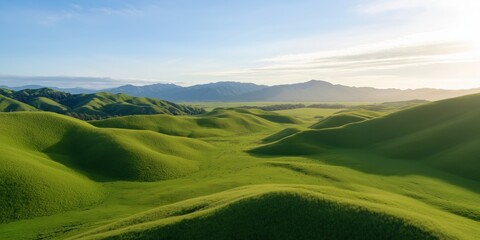 Obraz premium A vast, green field with a clear blue sky above. The field is dotted with hills and mountains in the background. The scene is peaceful and serene, with the sun shining brightly on the grass