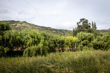 Humedal de Huasao: Un oasis natural en el coraz&oacute;n del Cusco.