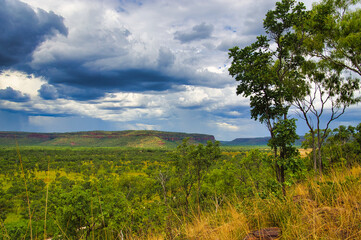 Savanna landscape with table mountains along the Escarpment Walk in Judbarra/Gregory National Park, Northern Territory, Australia. Cloudscape with rainclouds
