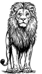 Detailed Hand-Drawn Sketch Illustration, Lion in Monochrome Art, Transparent Background, Vector File