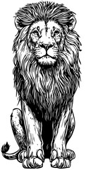 Elegant Line Art Sketch, Vintage Illustration of Lion, Isolated on Transparent Background, Vector Format 