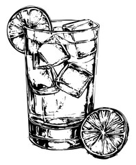 Fine Line Art Illustration, Detailed Sketch of Hand Drawn Illustration of Gin and Water in Wine, Transparent Background, Scalable Vector 