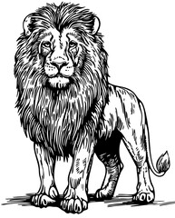 High-Quality Line Drawing Illustration, Lion Hand-Drawn Sketch, Transparent Background, Vector Design 