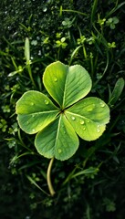 Macro photograph of a perfect four-leaf clover with morning dew drops, set against a soft-focus background of lush green vegetation. 