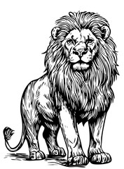 Artistic Monochrome Sketch Illustration, Lion Detailed Drawing, Isolated with No Background, Vector Graphic