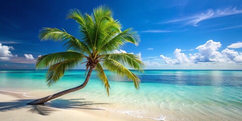 Obraz premium Minimalist Paradise Beach: Coco Palms, Azure Sea, Tropical Escape
