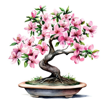 pink flowering bonsai tree watercolor clip art preview