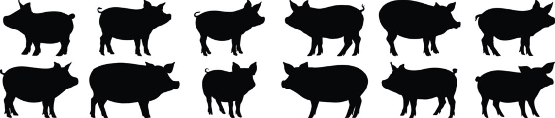 Pig silhouette set vector design big pack of farm illustration and icon