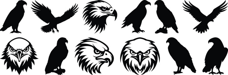 Eagle silhouette set vector design big pack of bird illustration and icon