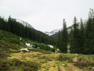 Obraz premium A picturesque mountain landscape in springtime