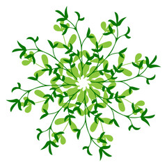 Intricate green floral design with leafy patterns radiating from a central point