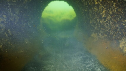 Scuba diving in the lake