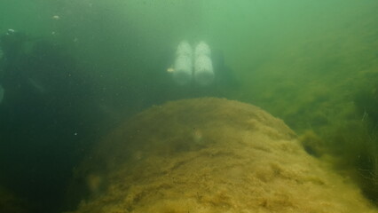 Scuba diving in the lake