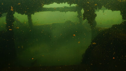 Scuba diving in the clay pit