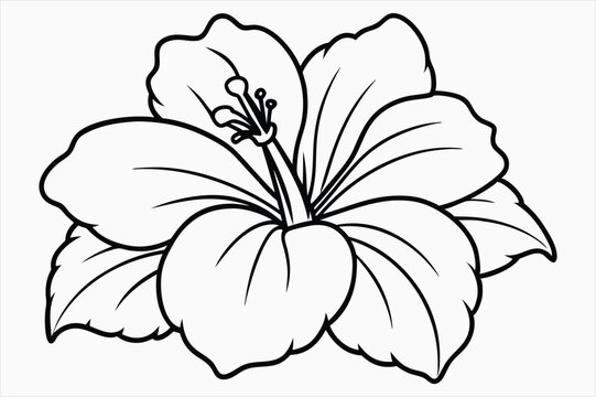 recommend clip art: A hibiscus flower line art vector art