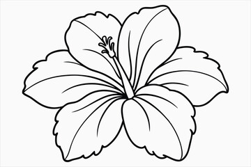 A hibiscus flower line art vector art © SADHON