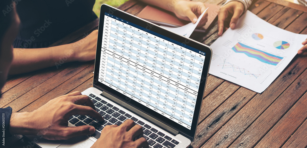 Poster accounting software on computer screen showing financial statement spreadsheets and account balance 