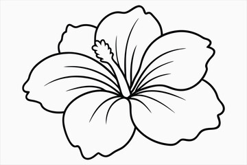A hibiscus flower line art vector art © SADHON