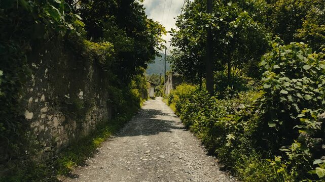 country path leading across fields
