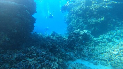 Scuba diving