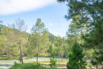 Obraz premium Tranquil Forest Lake