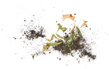 Dirt, soil pile with dry autumn leaves isolated on white background, top view	