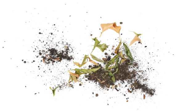 Dirt, soil pile with dry autumn leaves isolated on white background, top view	