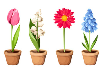 Spring flowers in pots. Set of vector illustrations