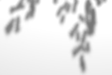 Tree branch shadow. Tree leaves shadow overlay. Summer sunlight trough the leaves. Nature organic shadow. Blurred Leaf shadow and light on wall background. 3d rendering