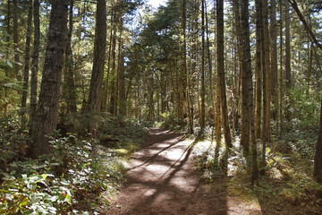Obraz premium Iceberg Point hiking trail trail southwest tip of Lopez Island, San Juan Islands, Washington United States.