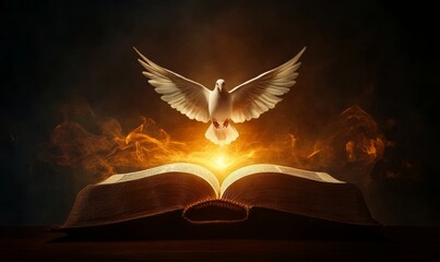 Flying dove above an opened book The Holy spirit appears over the Bible Symmetrical