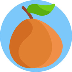 Apricot: A nutritious fruit often used in jams, desserts, and dried snacks. Turkey is one of the world's largest producers of apricots.