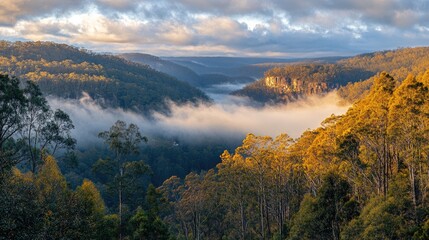 Golden Sunrise Over Misty Valley Landscape