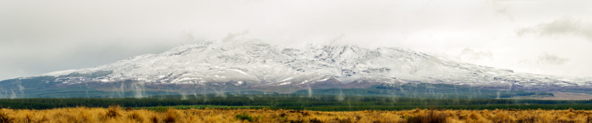 Fototapeta premium A mesmerizing summer view of Mount Ruapehu in New Zealand, with snow-capped peaks, golden grasslands, and mist rising as water condenses in the crisp alpine air