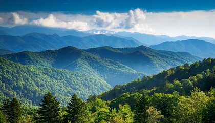 Fototapeta premium usa tennessee townsend view of forested smoky mountains