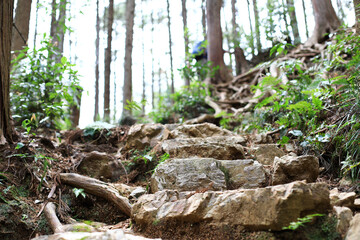 石階段の登山道