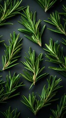Fototapeta premium Top-down view of fresh rosemary leaves in a seamless green pattern. The aromatic herb creates a lush, natural texture perfect for culinary and botanical themes.