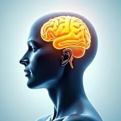 Obraz premium Human head profile with highlighted brain anatomy. Detailed 3D medical illustration of the brain's structure and location within the skull.
