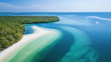 Protected Area Tourism: Experience national parks dedicated to biodiversity, where tourism fosters education on the importance of conserving ecosystems.
