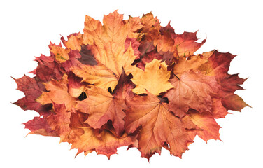 A pile of autumn leaves on a white background. The leaves are orange and yellow, and they are scattered all over the surface. Concept of warmth and nostalgia, as it reminds us of the changing seasons