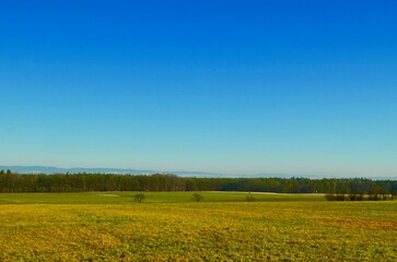 landscape forest blue clear sky