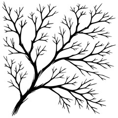 Silhouette of tree branches