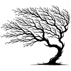 Silhouette of tree branches