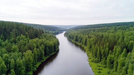 Serene river flowing through dense forest with lush greenery in a tranquil landscape