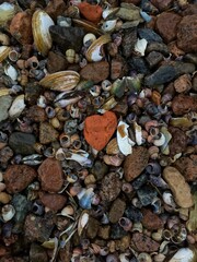 pebbles on the beach